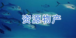 资源物产
